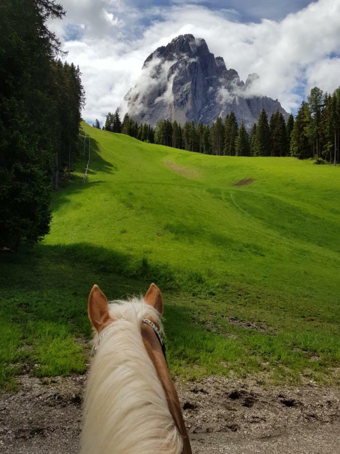 Hotel Pozzamanigoni Selva di Val Gardena Exteriör bild